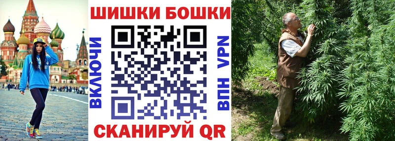 Каннабис планчик Аша